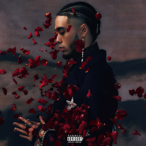 久久中国三级网站
