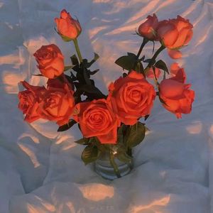 久久中国三级网站
