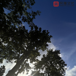 久久中国三级网站
